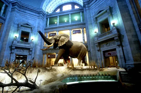 Amazing Free Museums
